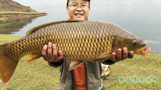 湘西張家界狗司令